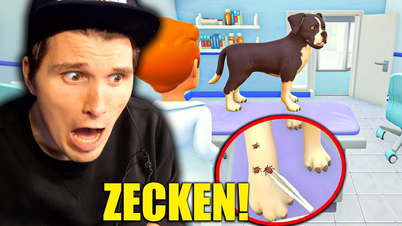 Der TIERARZT Simulator
