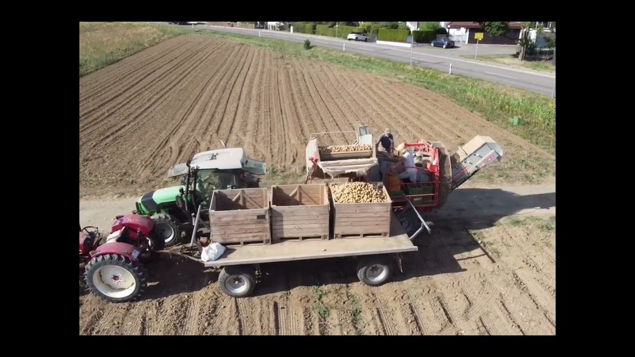 Kartoffel Ernte 2022 in good old Riedenberg