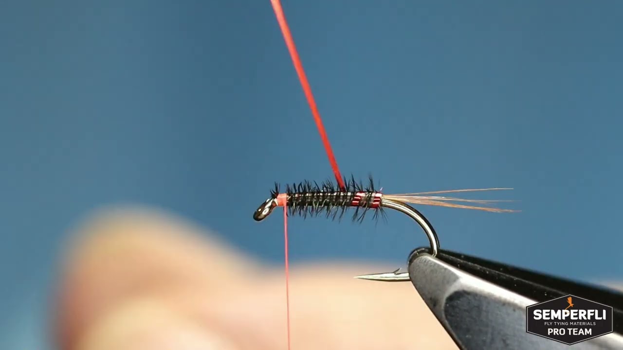 Tying the Red Ribbed Diawl Bach