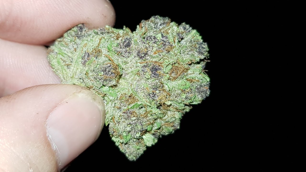 Purple Panty Dropper Strain Review