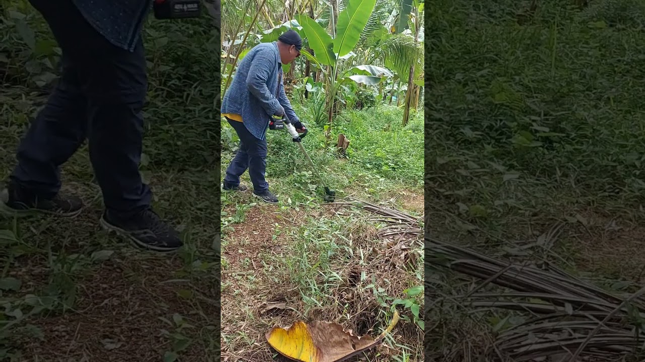 lempio ta sa farm