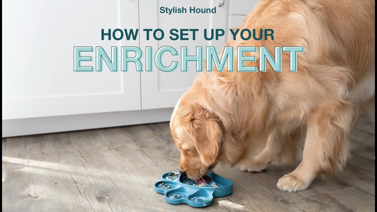 ENRICHMENT | STYLISH HOUND