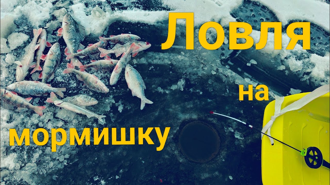 НАЛОВИЛИ ГОРУ ОКУНІВ НА МОРМИШКУ. Відкриття сезону 2026.