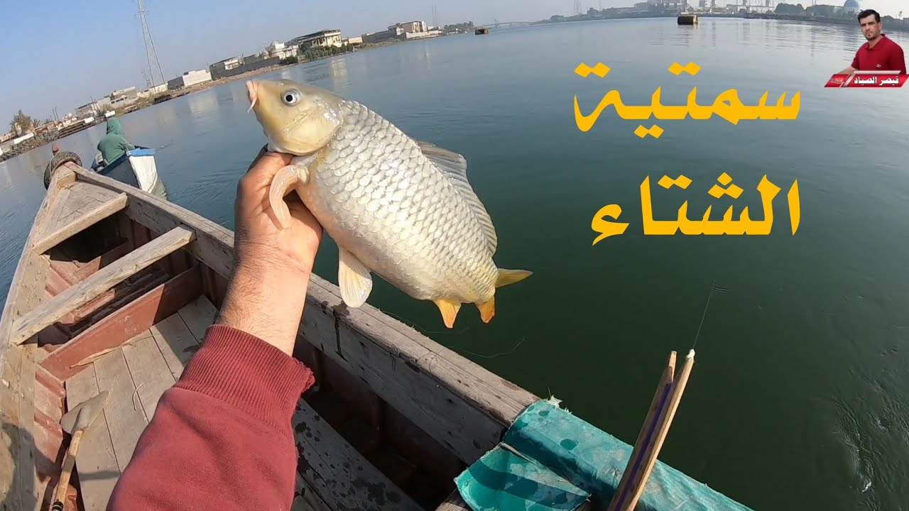 شوفو منو طلعلي السمتيه اليوم😱#قيصر_الصياد