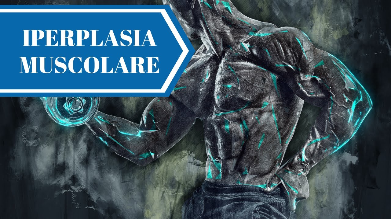 [ITA] IPERPLASIA MUSCOLARE nel bodybuilding: Mito o realtà?
