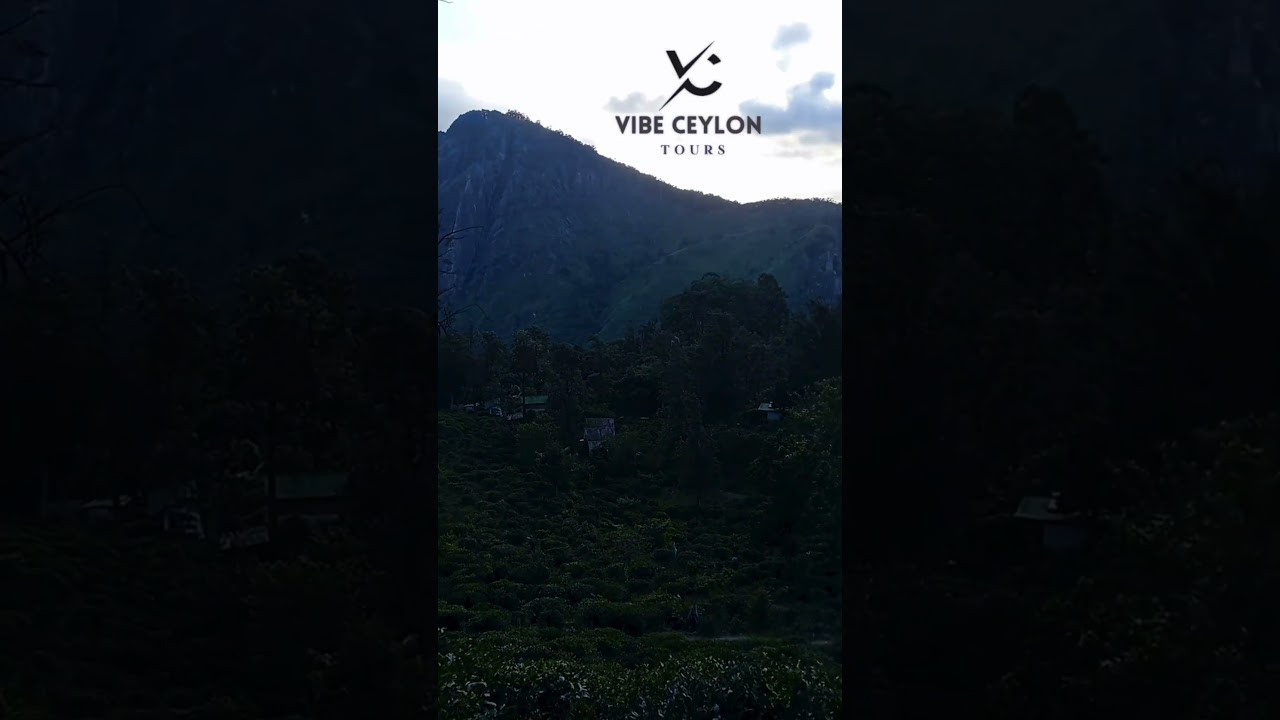 Little Adam’s Peak Hike | Vibe Ceylon Tours | Ella, Sri Lanka Travel Guide