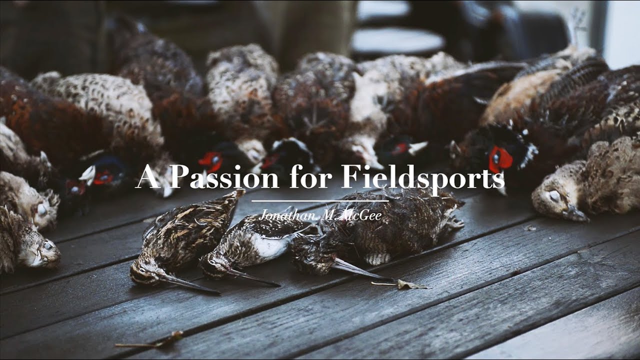 A Passion for Fieldsports - Pheasant Shooting in North Yorkshire