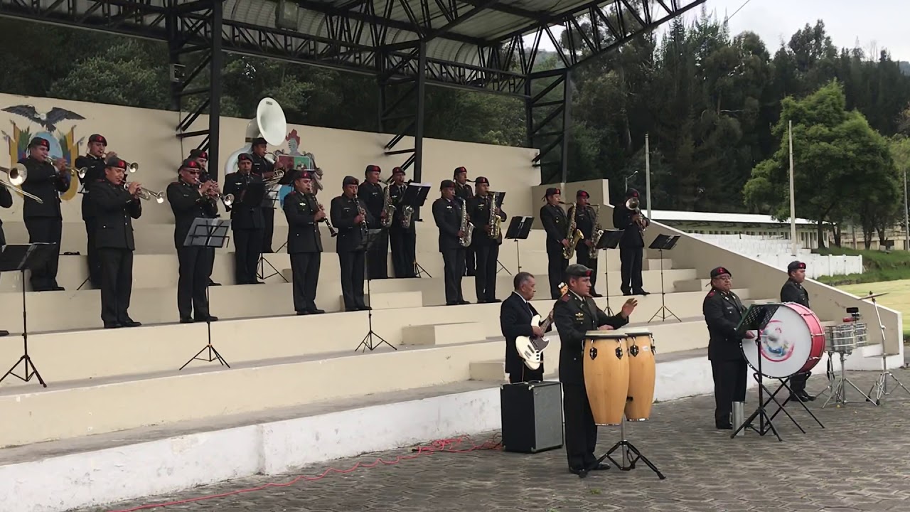 Toro Barroso