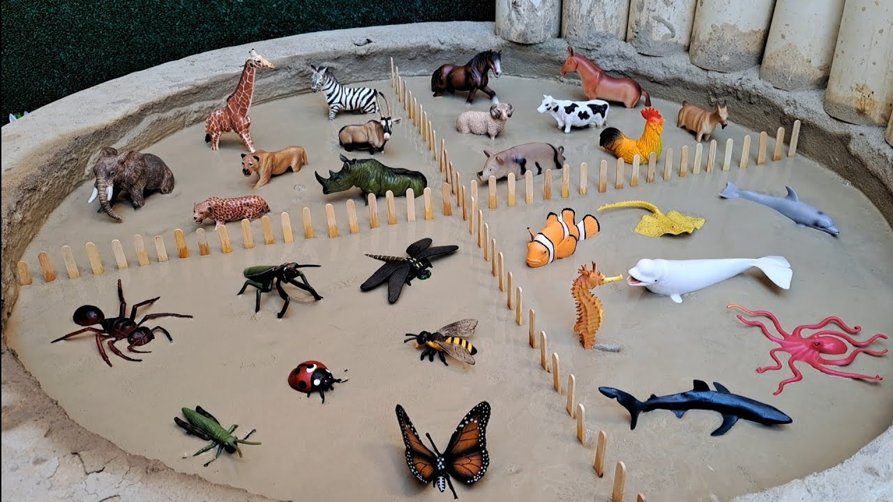Animais na Lama | Insetos 🐞 Marinhos 🐬 Selvagens 🐘 Fazenda 🐄