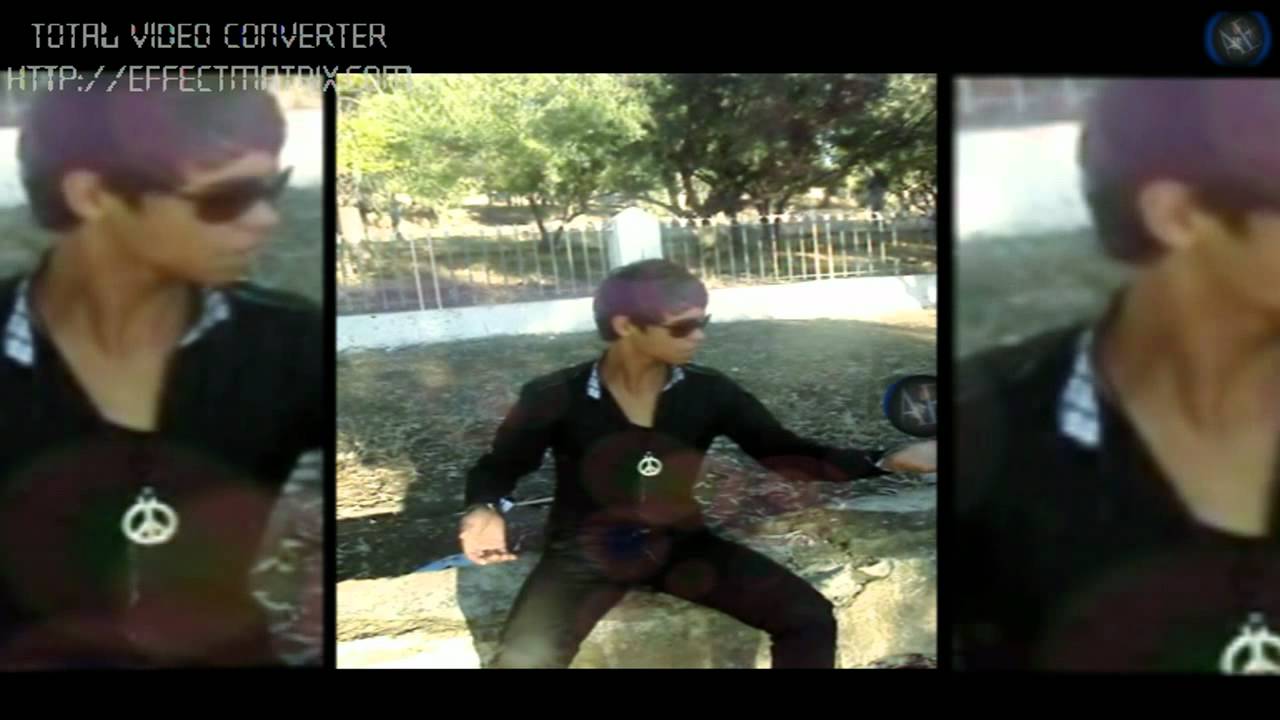 Pitbull Version Maroc