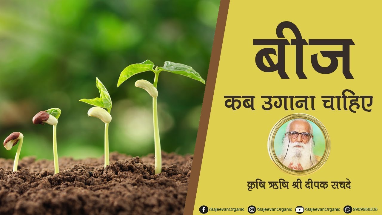 किसान बीज कब बोए | कृषि ऋषि श्री दीपक सचदे | When Did The Farmer Sow The Seeds In Hindi