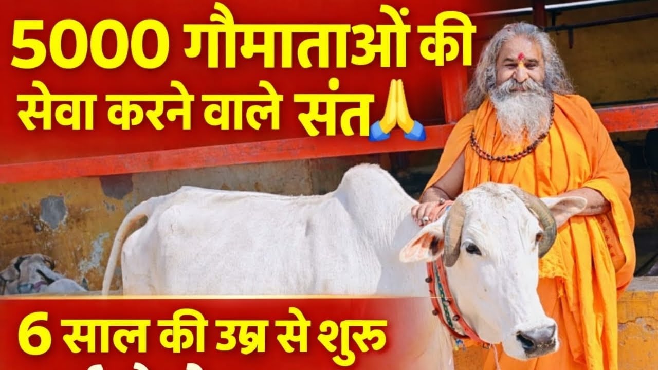 70 साल के संत की अद्भुत सेवा 🙏 5000 गौ माता की सेवा में जीवन समर्पित | श्री राम मंगल दास महाराज