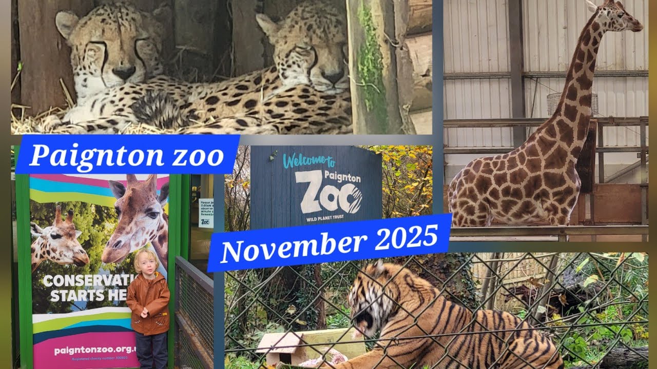 Paignton Zoo November 9th 2025