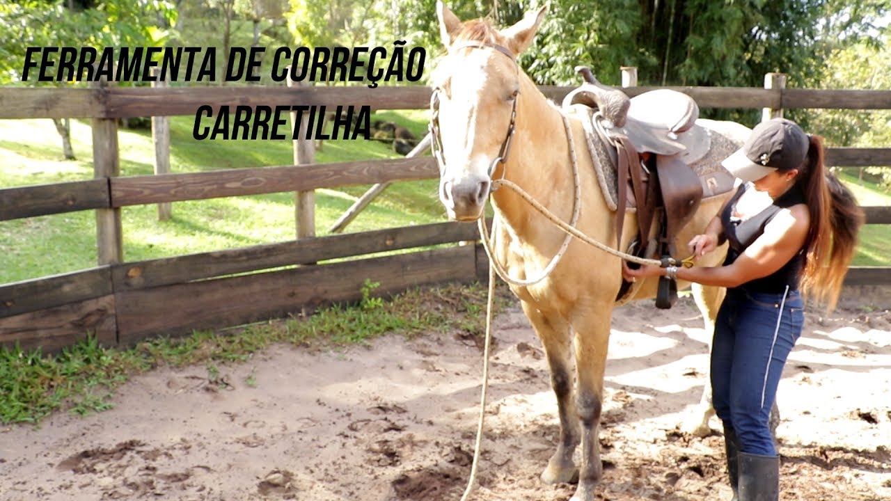 Ferramenta  de Correção para baixar a cabeça do cavalo