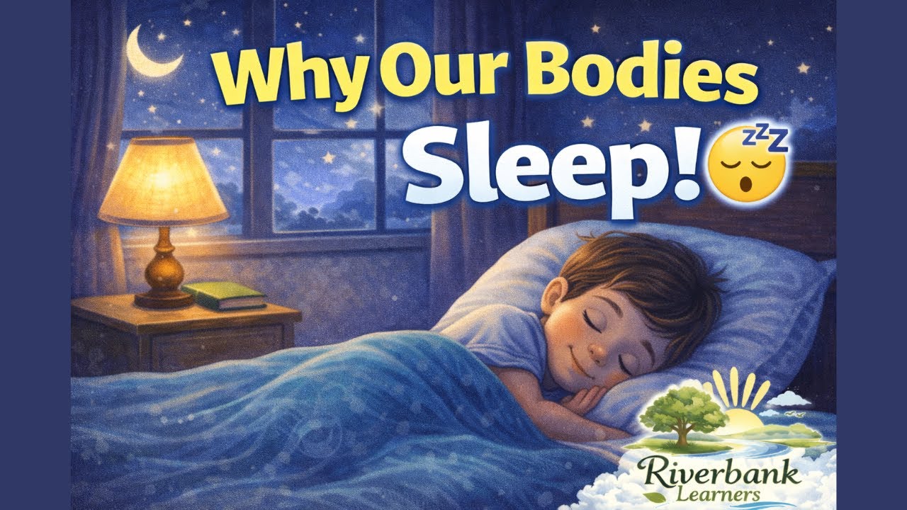 Why Sleep is so Important