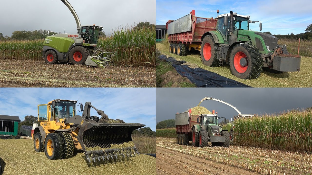 Mais hakselen en inkuilen door loonbedrijf JB ter Steege bij Alex the Dutch Dairyfarmer (2021)