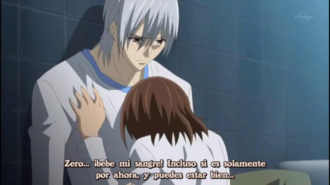 Mientes tan bien - Zero y Yuki