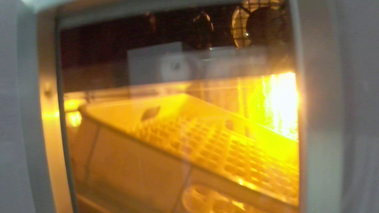 How to set- up Brower Waffer type thermostat/ Paano i-set up ang Waffer Thermostat (AR Incubator)