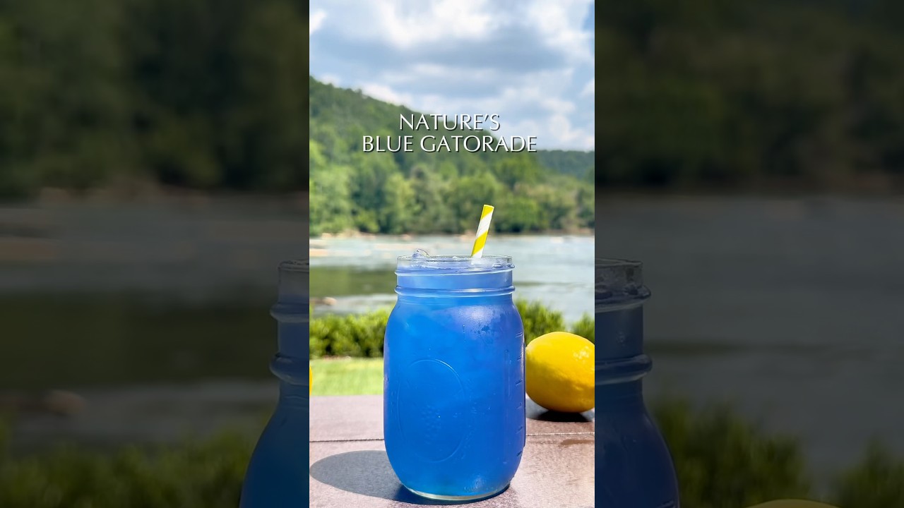 Nature&rsquo;s Blue Gatorade! The Ultimate Electrolyte Drink You Can Make at Home