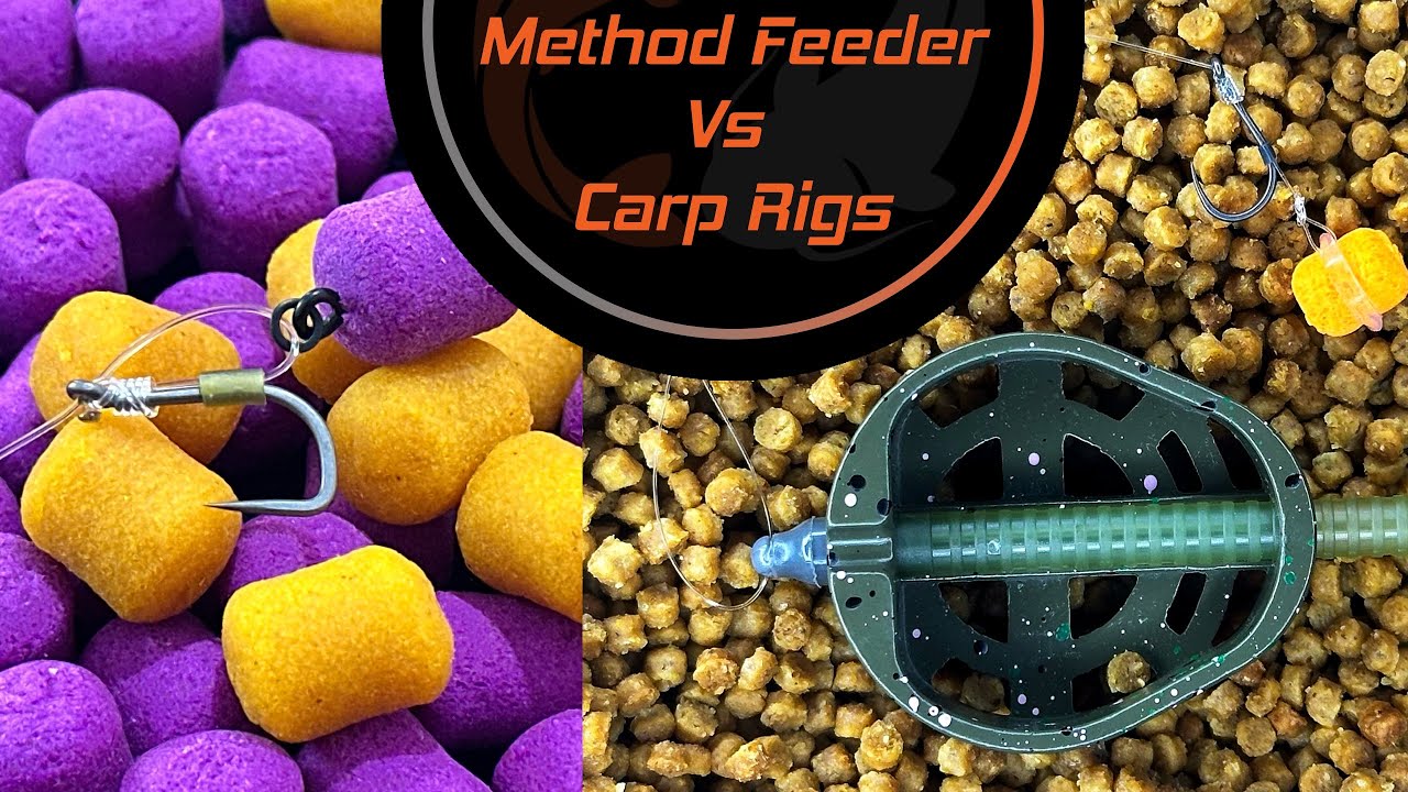 Method Feeder VS Carp Rigs
