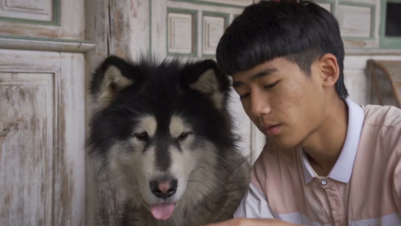 大王的美食时间 Dawang's food time丨Apenjie with Dawang