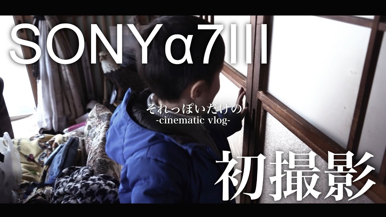 【cinematic vlog】SONY&alpha;7III ｜lumafusionで編集・カラーグレーディング