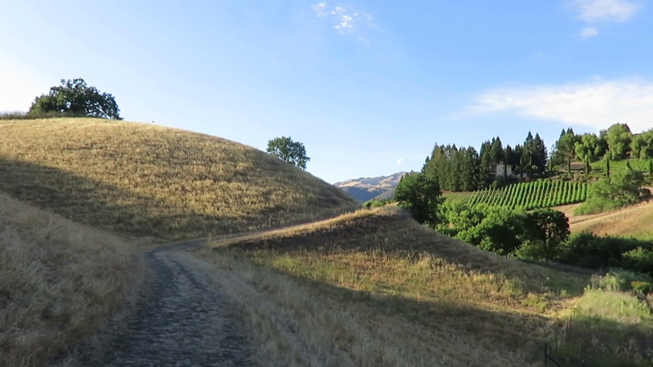 View from Sand Hill Trail - Sycamore Valley Open Space Regional Preserve - Danville, California