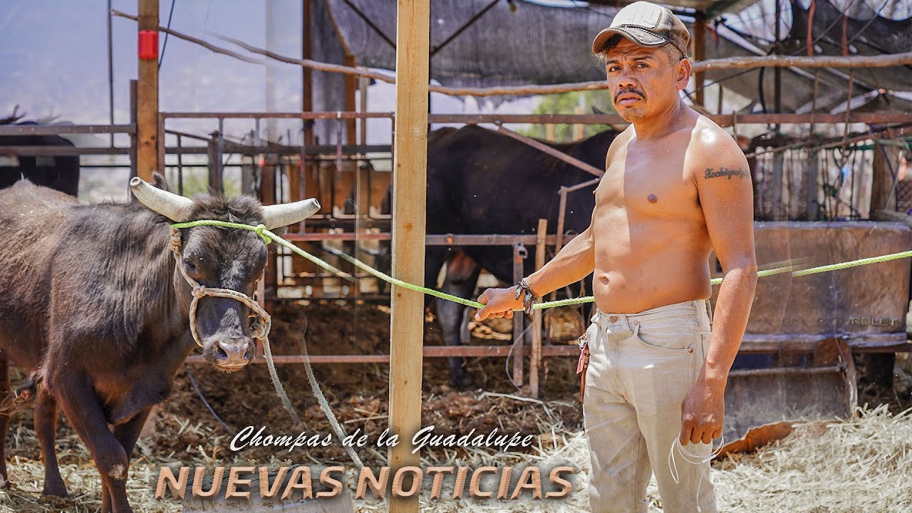 VISITAMOS EL NUEVO RANCHO DE CHOMPAS DE LA GUADALUPE DESPUÉS DE SU GIRA POR ESTADOS UNIDOS.