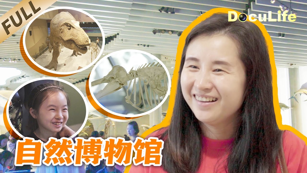 《自然博物馆》上海夏日遛娃圣地！自然博物馆奇幻之旅：挖化石、听科学讲堂、邂逅非洲大草原，一秒穿越自然奇境！【DocuLife-SMG真实传媒】