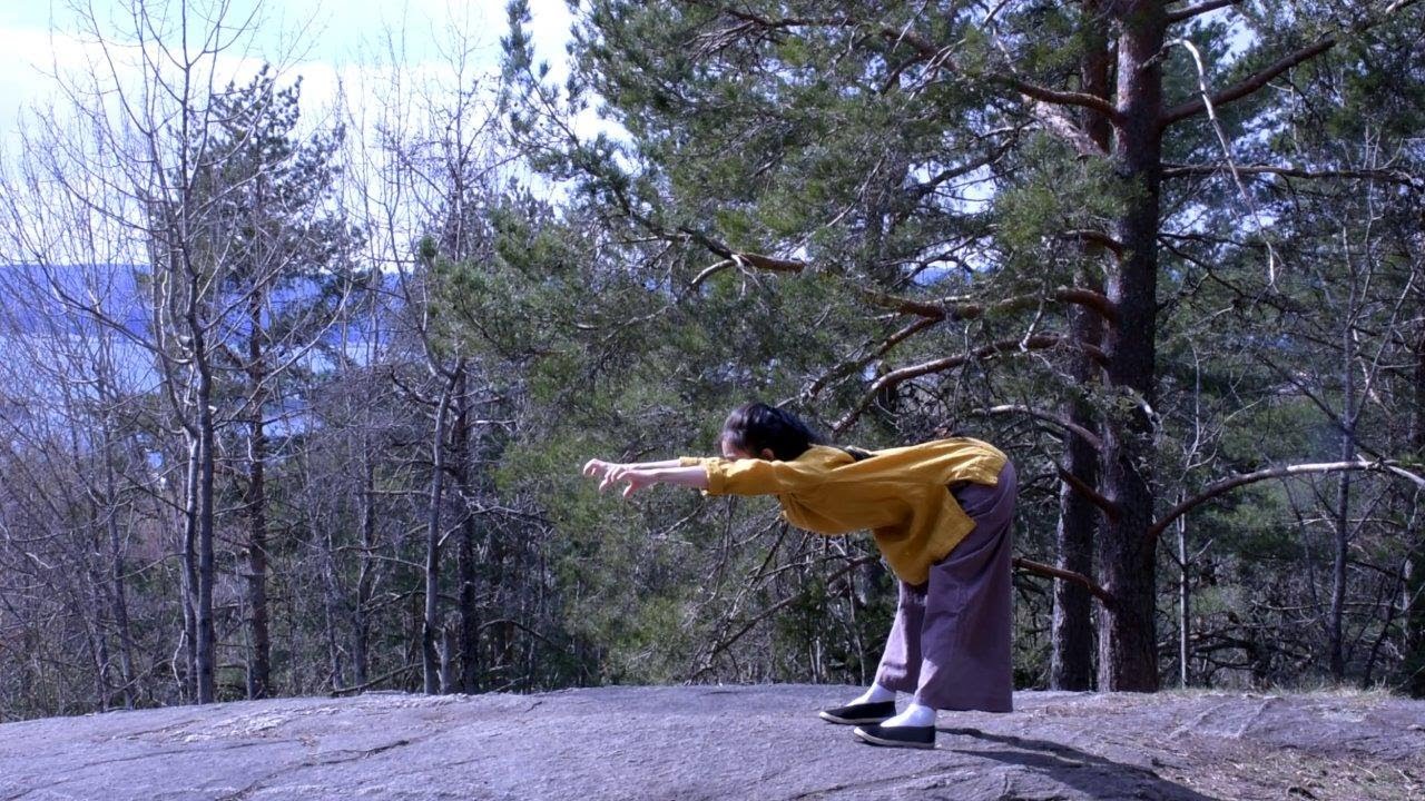 Five Animals Qi Gong - Wu Qin Xi (五禽戏) - Warm-up & Tiger by Shifu Yan Fei