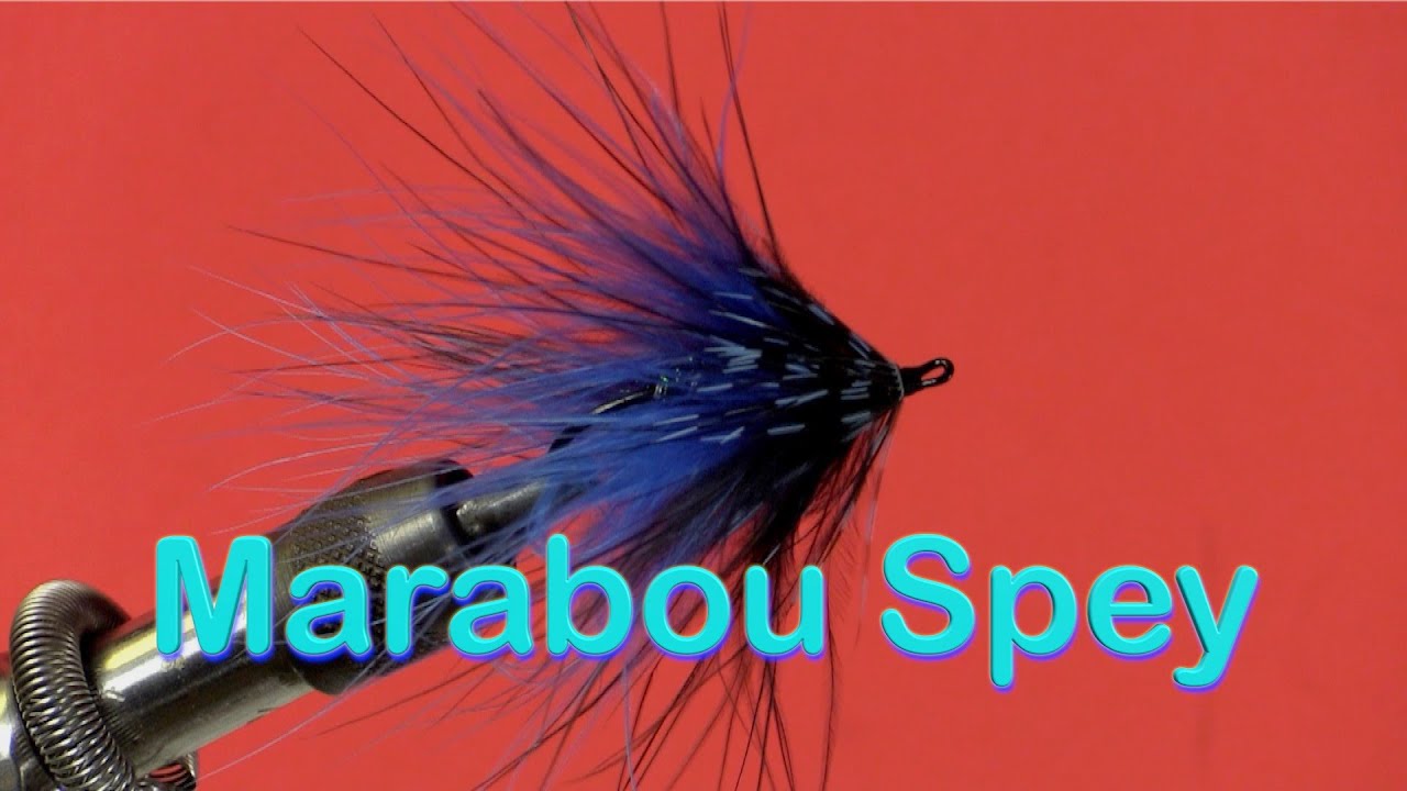 Beginner's Fly Tying Series - the Marabou Spey