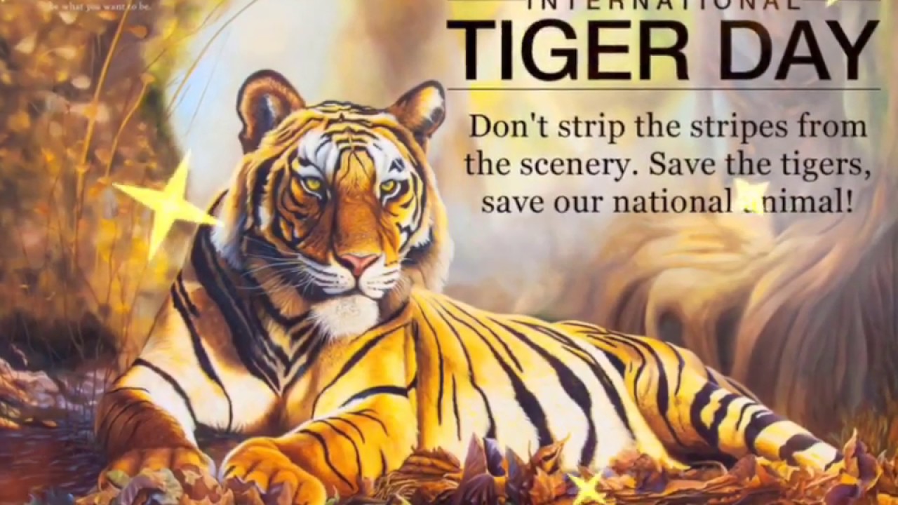 International Tiger day status 2020||July 29||Save Tiger||Tiger day wishes, images, WhatsAppStatus