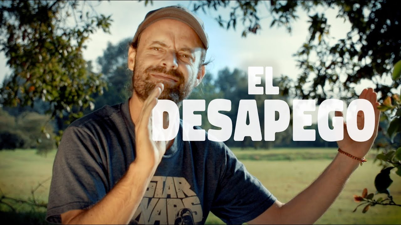 El Desapego (y los 4 tipos de apego)