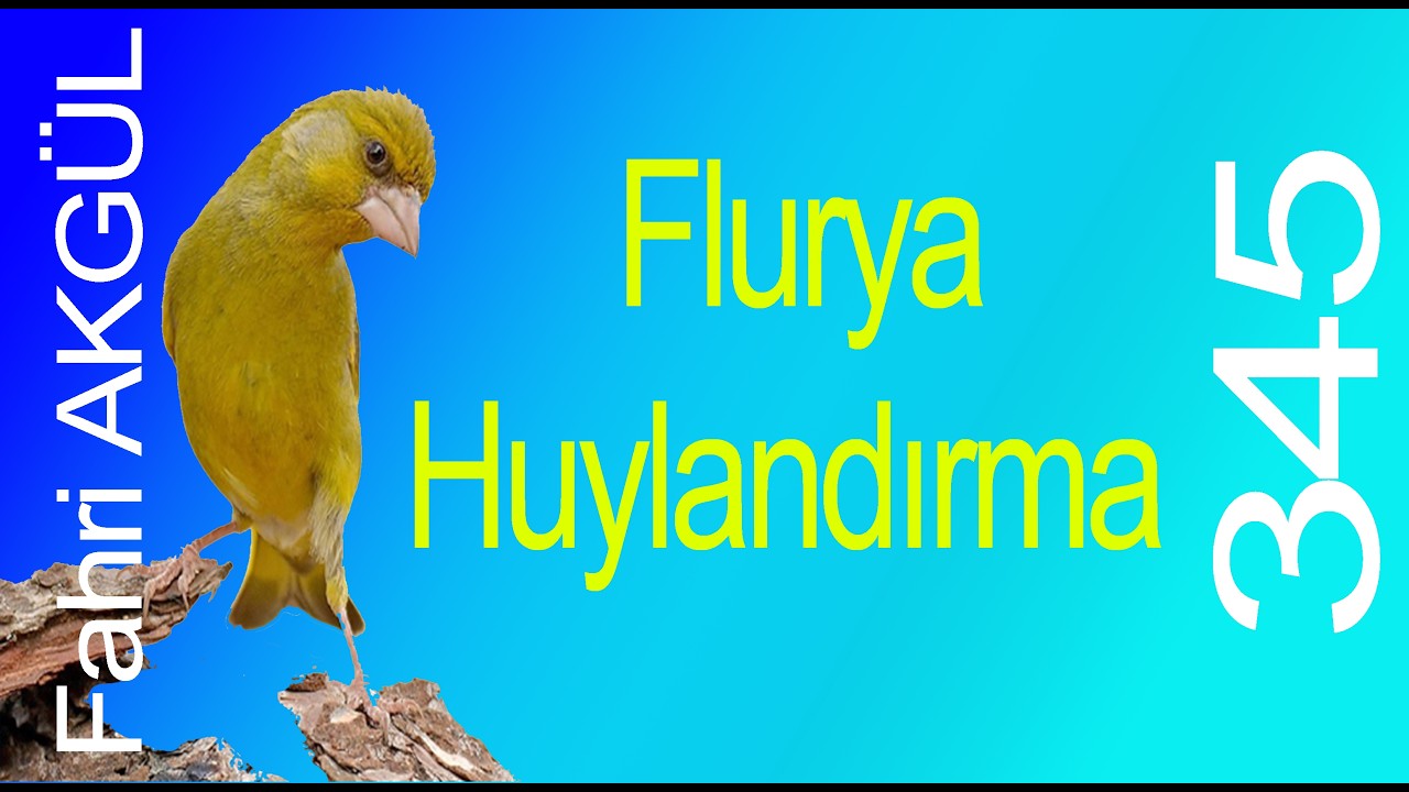 Fahri AKGÜL - Flurya Huylandırma 345
