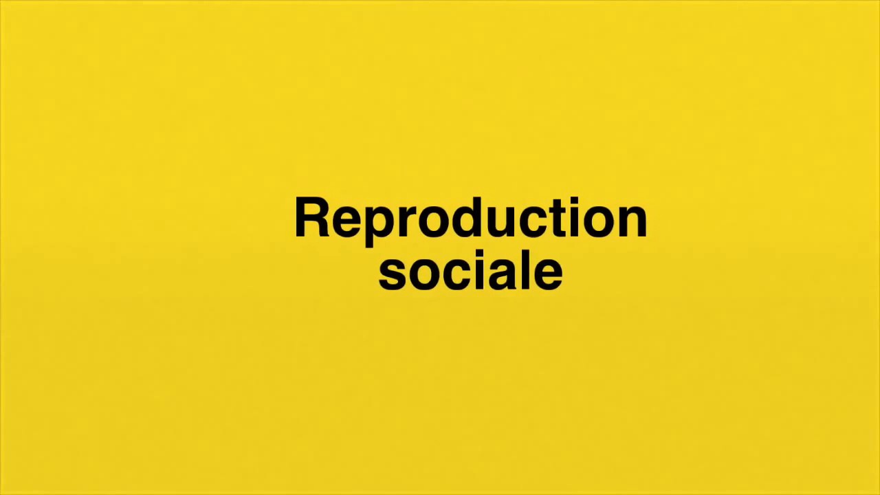 La socialisation et le milieu social
