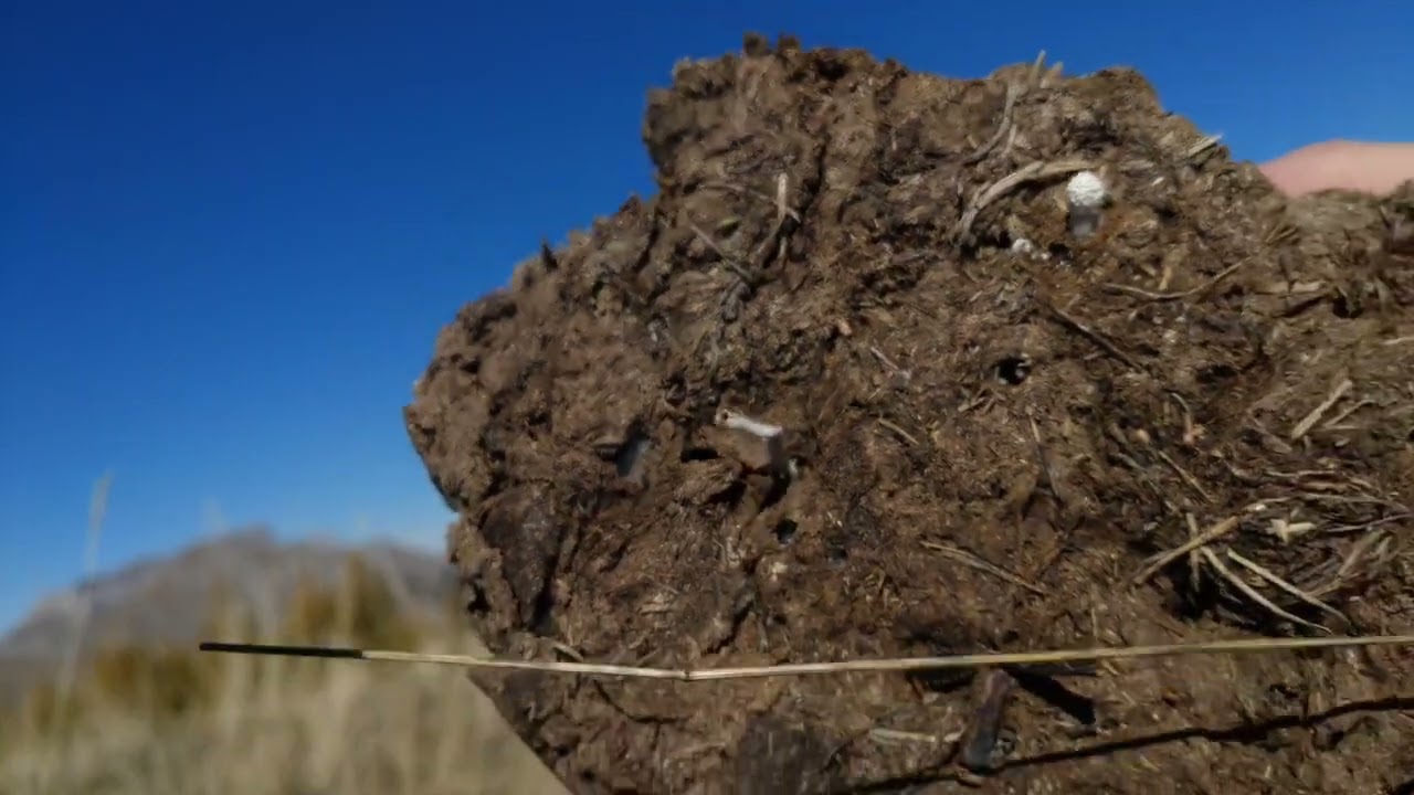 Biodiversite et immensite sauvage ! (ASMR dentente et sensations) (Hautes alpes)