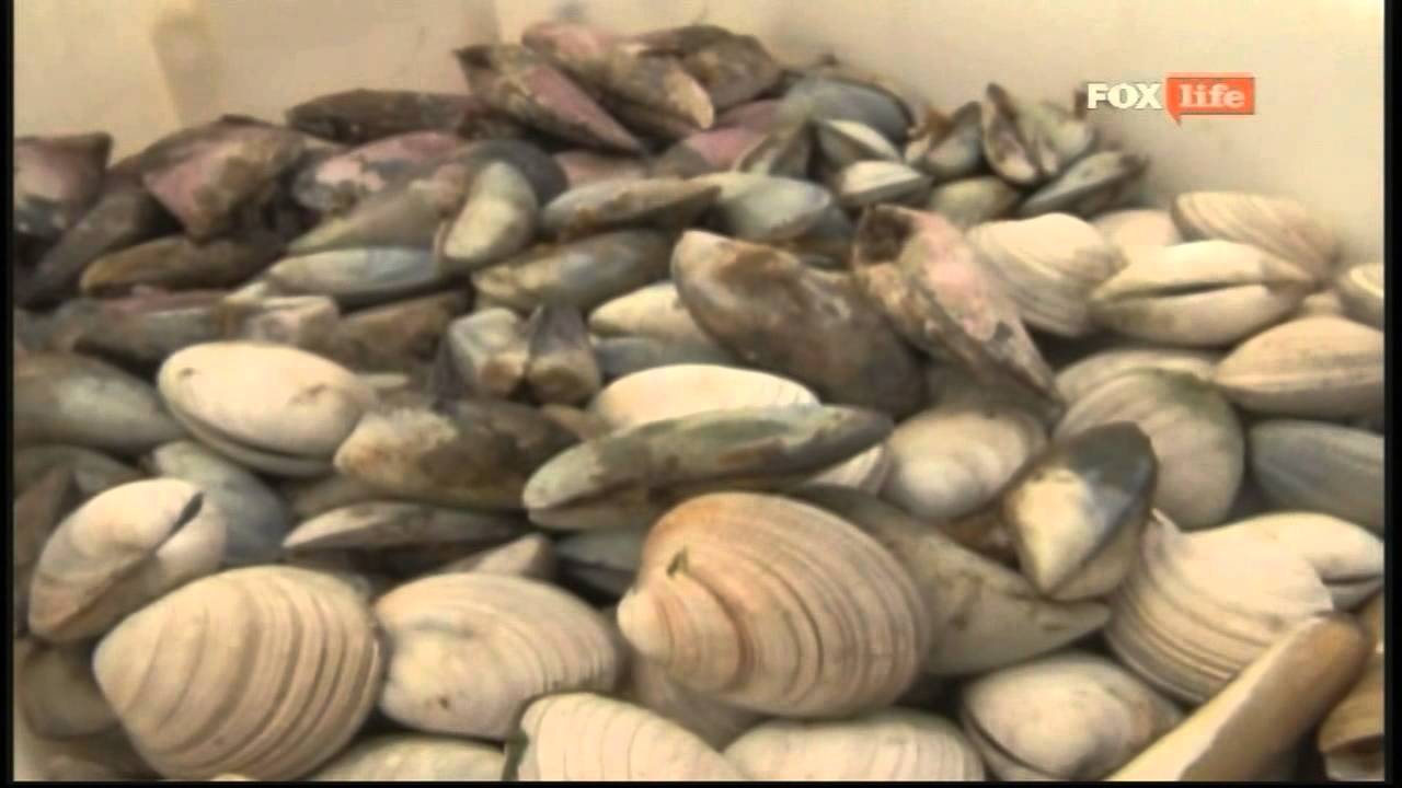 CAFE SAN JUAN HD 