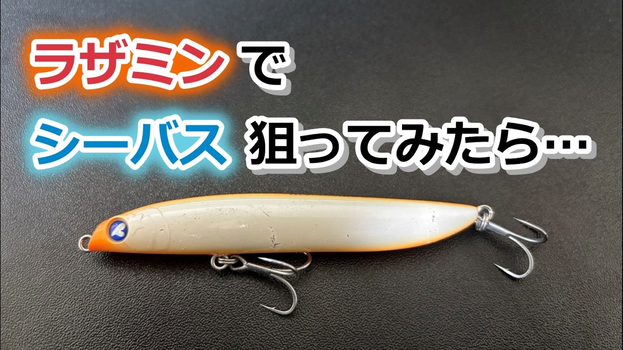 ラザミン(RAZAMIN)でシーバス狙ってみたら&hellip;【2026年3月5日】