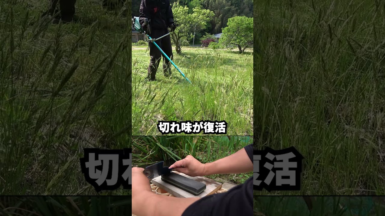 軽くて作業性抜群な上に、研磨ができ経済的 ツムラ切込3枚刃