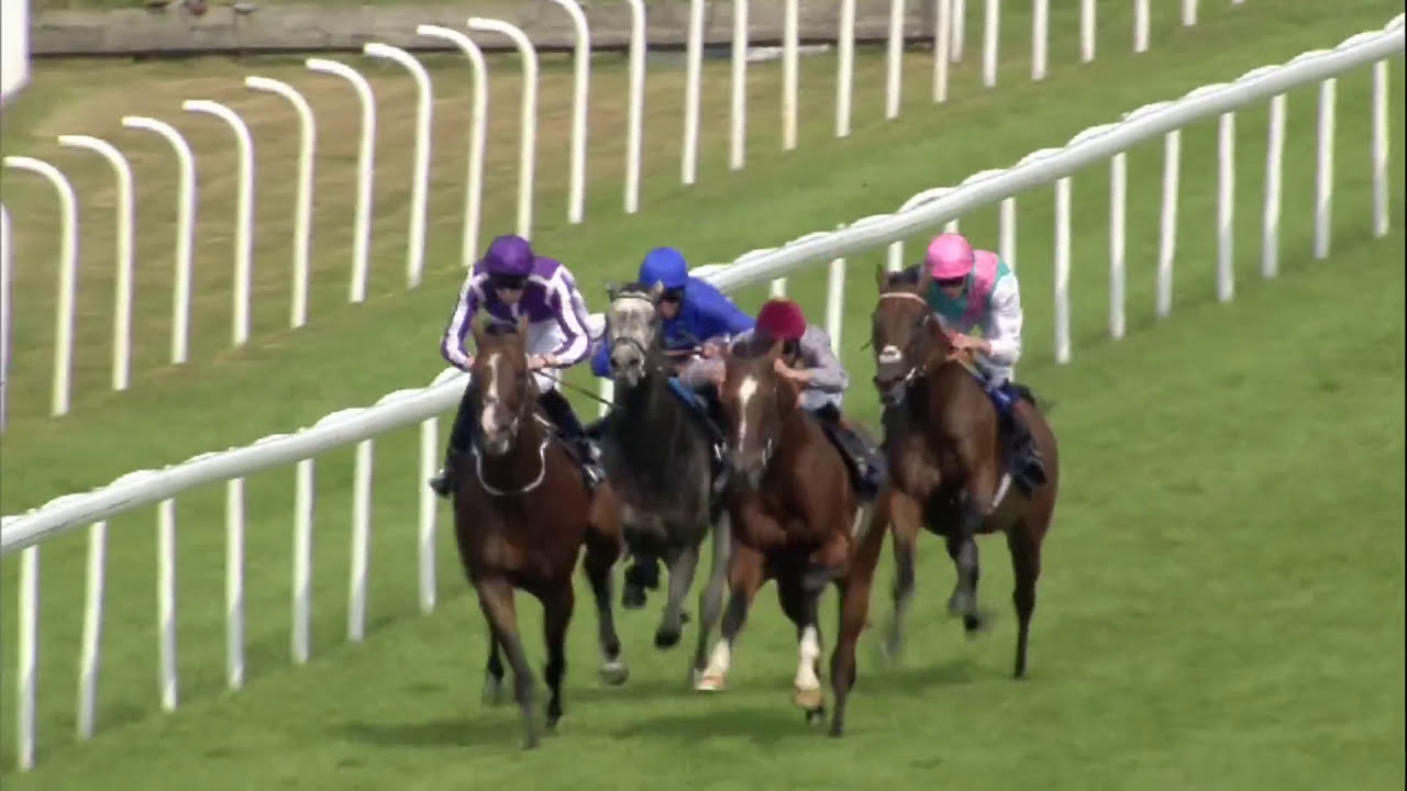 KINGMAN is all class in the 2014 QIPCO Sussex Stakes at Glorious Goodwood - Racing TV