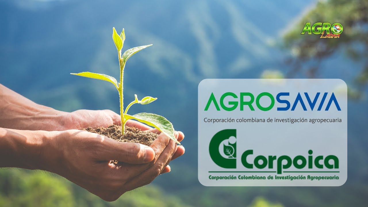 ¿QUE ES AGROSAVIA / CORPOICA? Corporación Colombiana de Investigación Agropecuaria