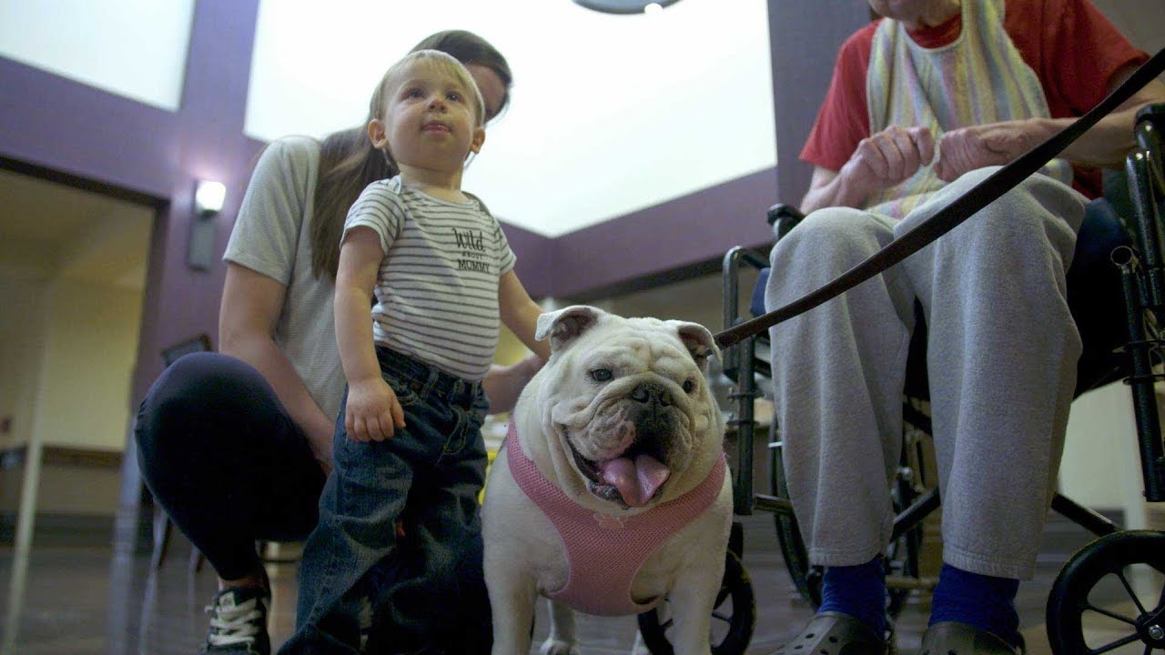 Ellen & Laci - Bulldog Therapy