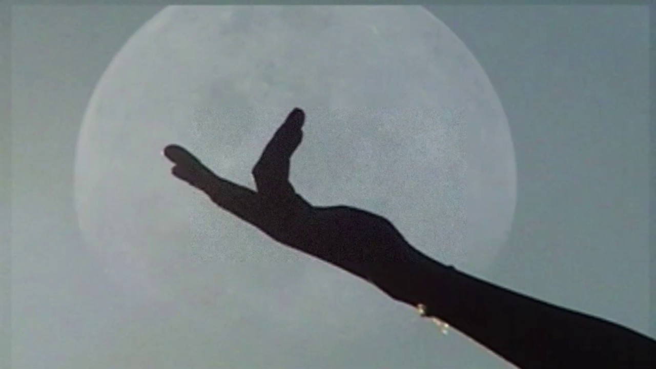 DEAR HUMANS - HARVEST MOON (official video)