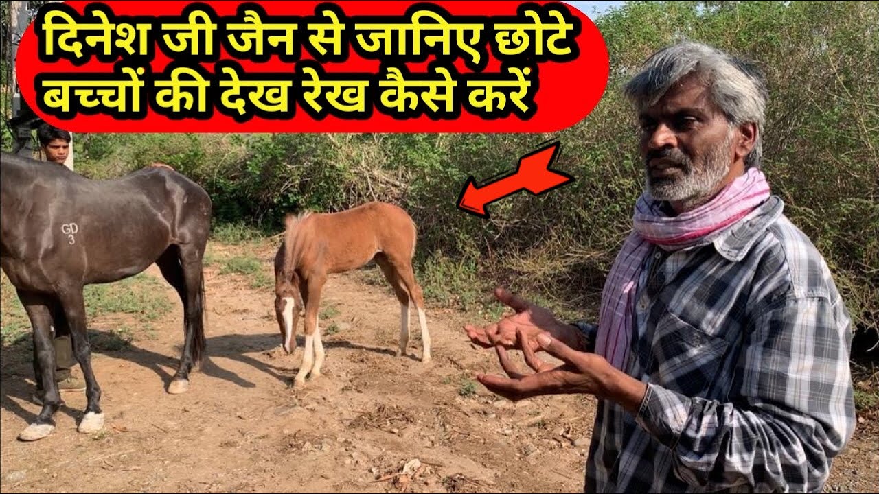 दिनेश जी जैन से जानिए छोटे बच्चों की देख रेख कैसे करें