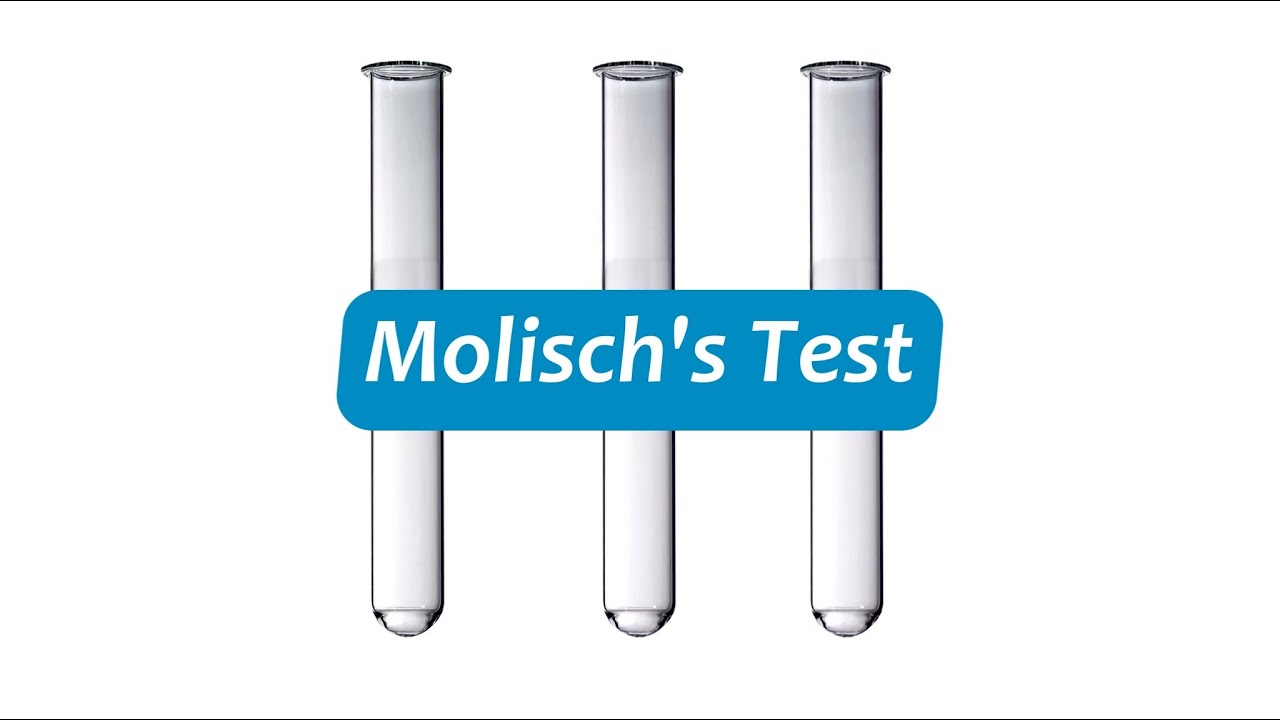 Molisch's Test