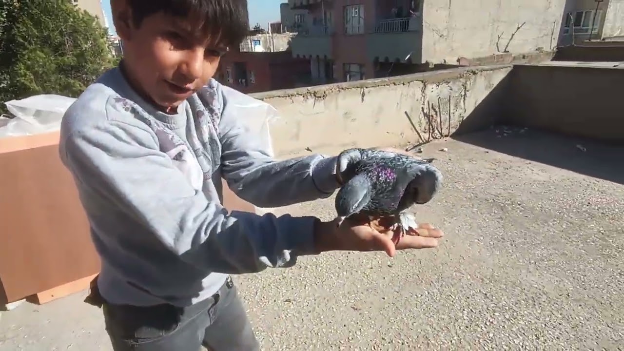 1 Kasım 2025