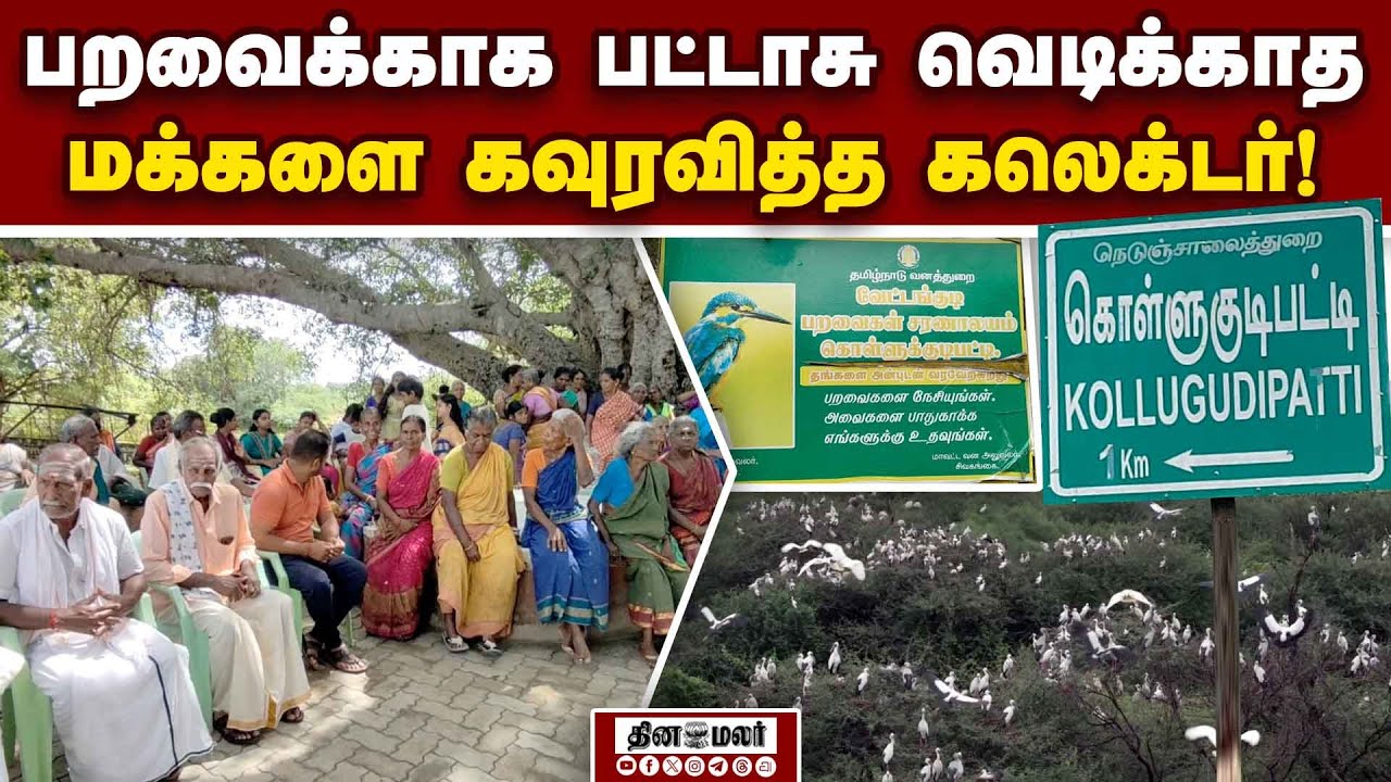 3 தலைமுறையாக பட்டாசு வெடிக்காமல் பறவைகளை காக்கும் கிராமம்! Crackers free village | Kollukudipatti