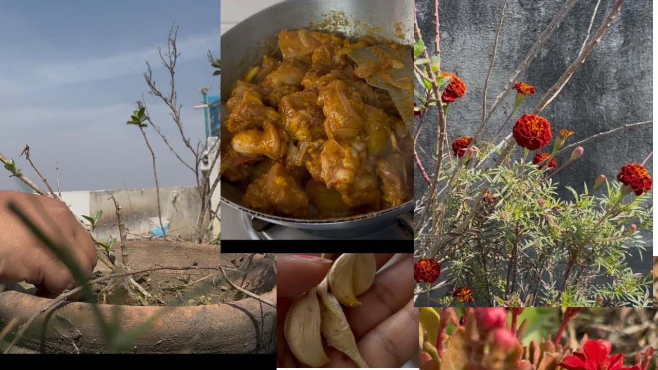 ￼ Bengali  vlog | ￼রবিবারের chicken 🍗 #food #video #please # ￼ subscribe my channel❤️