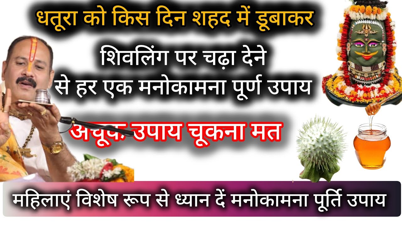 धतूरा को किस दिन शहद में डूबाकर शिवलिंग पर चढ़ा देने से हर एक मनोकामना पूर्ण होगी चूकना मत 