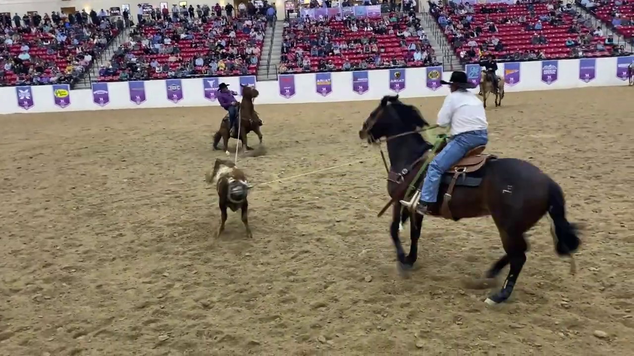 World Series of Team Roping #11.5 Finale Top 20 - 2019 Short Go